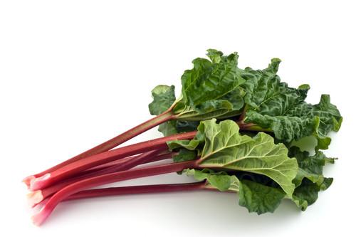 BEAUTIFUL TASTY RHUBARB in CHUTNEY, WOW!
                    RECIIPE HERE